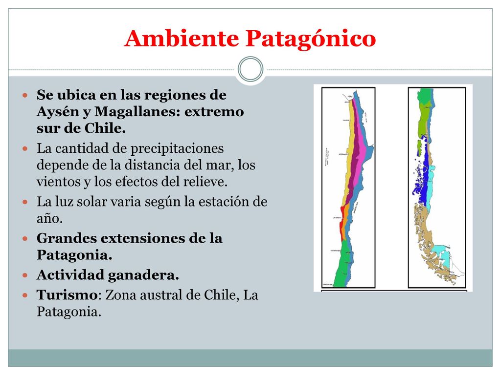 Ambiente Patagónico Se ubica en las regiones de Aysén y Magallanes: extremo sur de Chile.