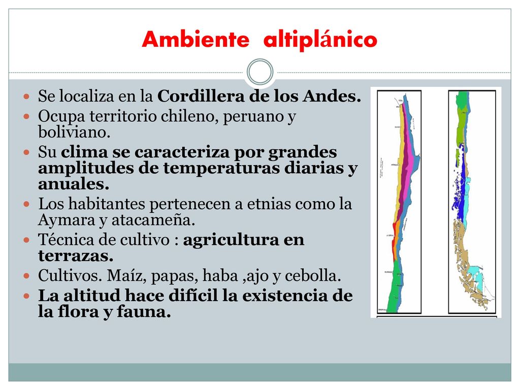 Ambiente altiplánico Se localiza en la Cordillera de los Andes.