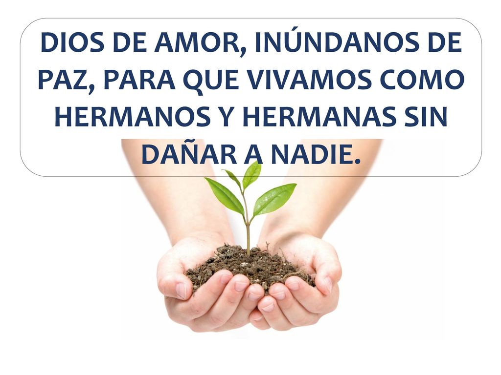 DIOS DE AMOR, INÚNDANOS DE PAZ, PARA QUE VIVAMOS COMO HERMANOS Y HERMANAS SIN DAÑAR A NADIE.