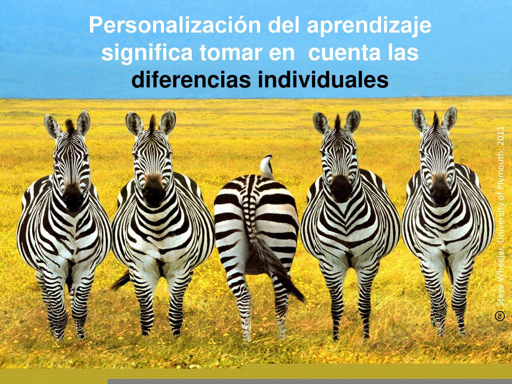 Personalización del aprendizaje significa tomar en cuenta las diferencias individuales