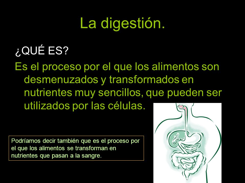 La digestión. ¿QUÉ ES