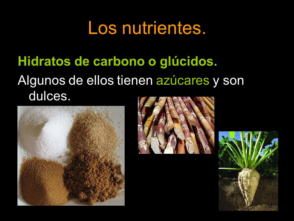 Los nutrientes. Hidratos de carbono o glúcidos.