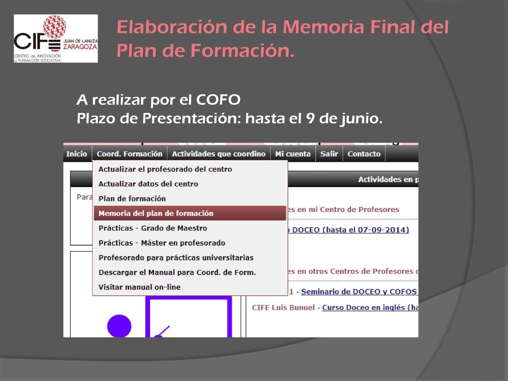 Elaboración de la Memoria Final del Plan de Formación.