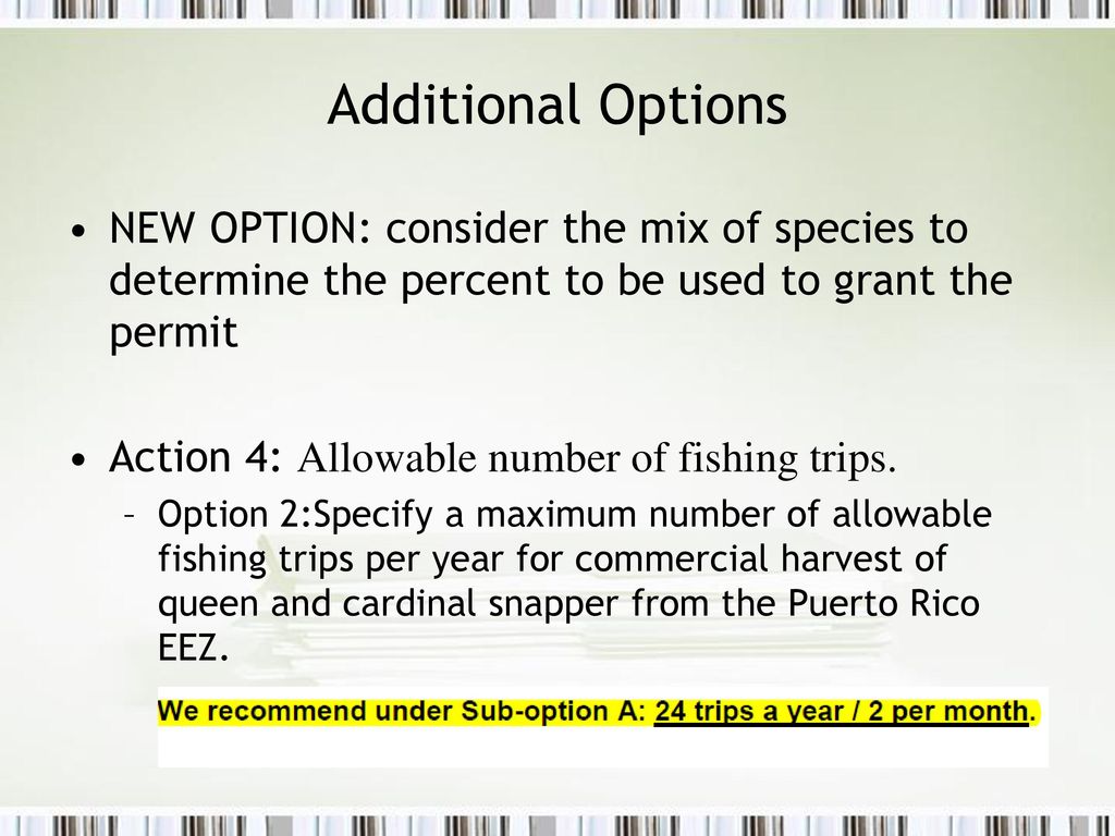 Additional Options NEW OPTION: consider the mix of species to determine the percent to be used to grant the permit.