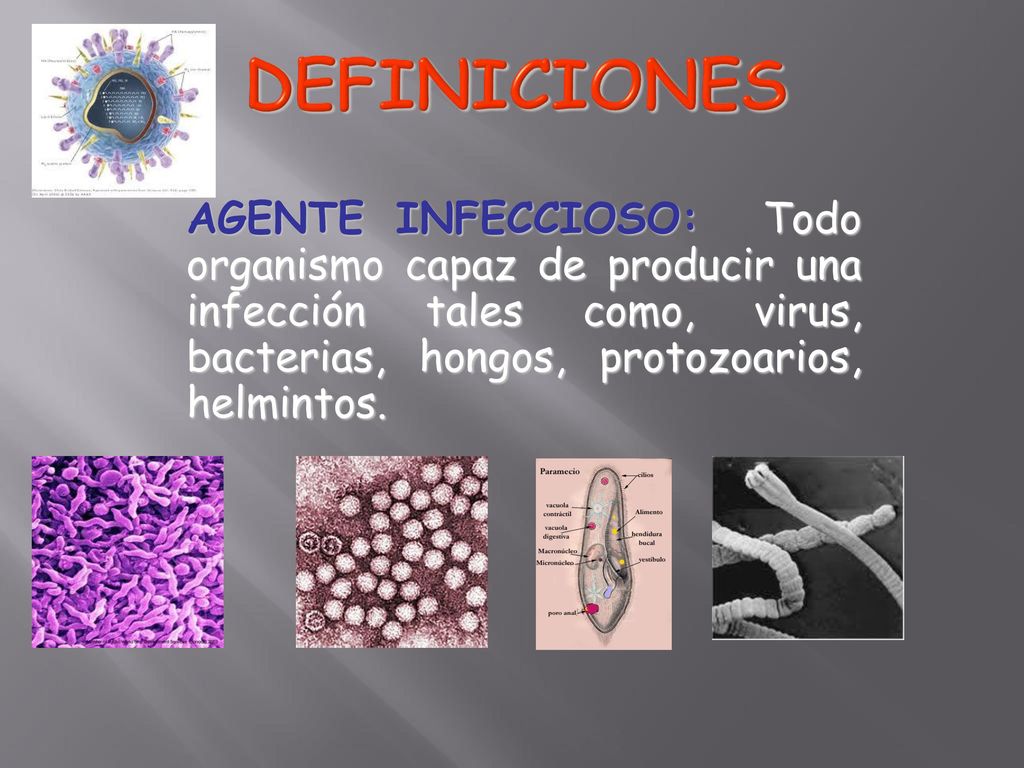 DEFINICIONES AGENTE INFECCIOSO: Todo organismo capaz de producir una infección tales como, virus, bacterias, hongos, protozoarios, helmintos.