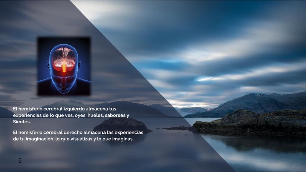 El hemisferio cerebral izquierdo almacena tus experiencias de lo que ves, oyes, hueles, saboreas y Sientes.