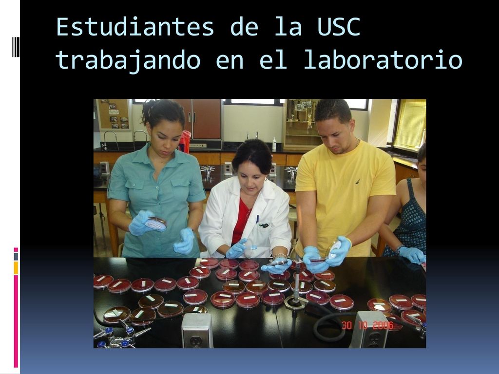 Estudiantes de la USC trabajando en el laboratorio