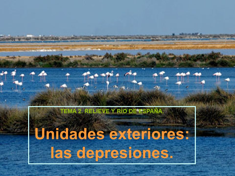 TEMA 2. RELIEVE Y RÍO DE ESPAÑA. Unidades exteriores: las depresiones.