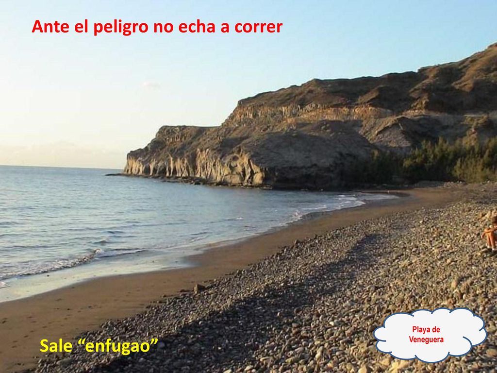 Ante el peligro no echa a correr