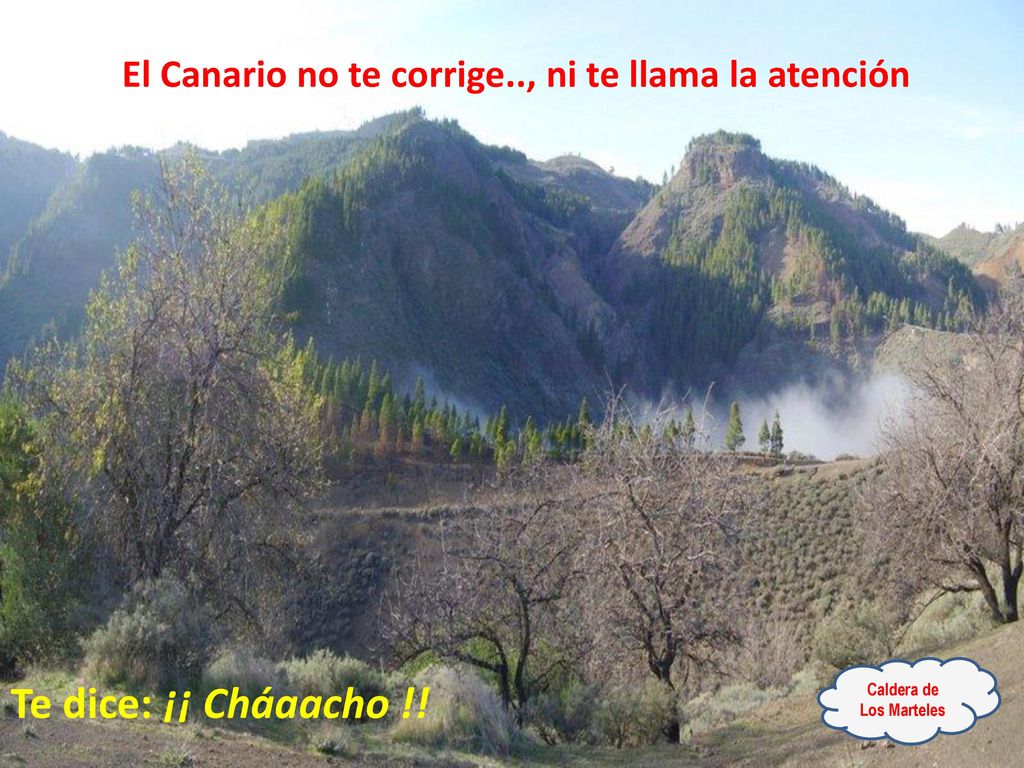 El Canario no te corrige.., ni te llama la atención