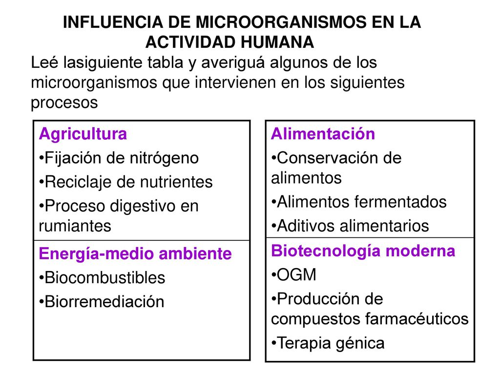 INFLUENCIA DE MICROORGANISMOS EN LA ACTIVIDAD HUMANA Leé lasiguiente tabla y averiguá algunos de los microorganismos que intervienen en los siguientes procesos