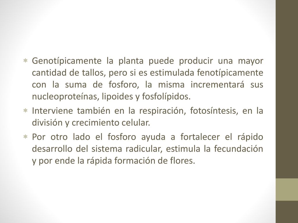 Genotípicamente la planta puede producir una mayor cantidad de tallos, pero si es estimulada fenotípicamente con la suma de fosforo, la misma incrementará sus nucleoproteínas, lipoides y fosfolípidos.
