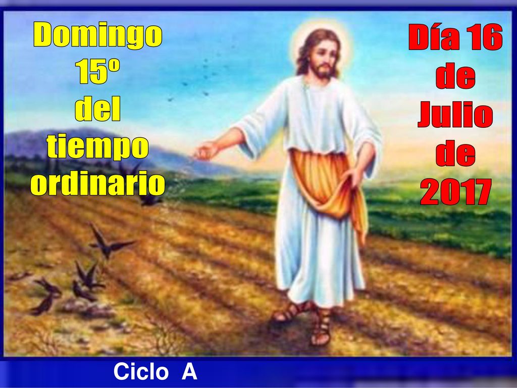 Domingo 15º del tiempo ordinario Día 16 de Julio 2017