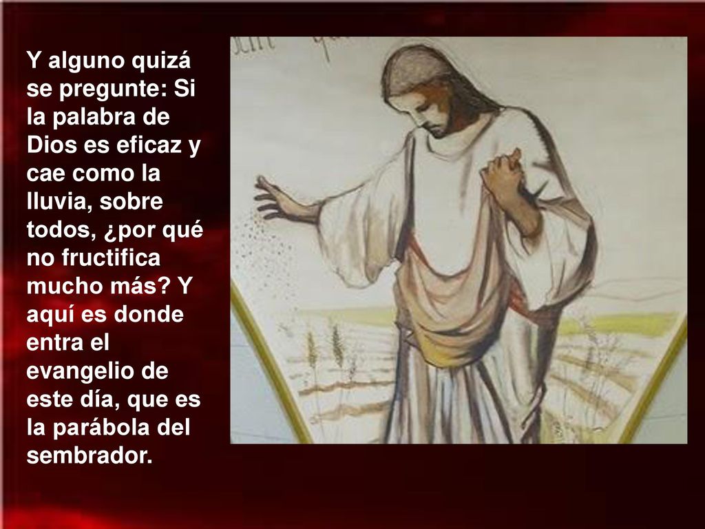 Y alguno quizá se pregunte: Si la palabra de Dios es eficaz y cae como la lluvia, sobre todos, ¿por qué no fructifica mucho más.