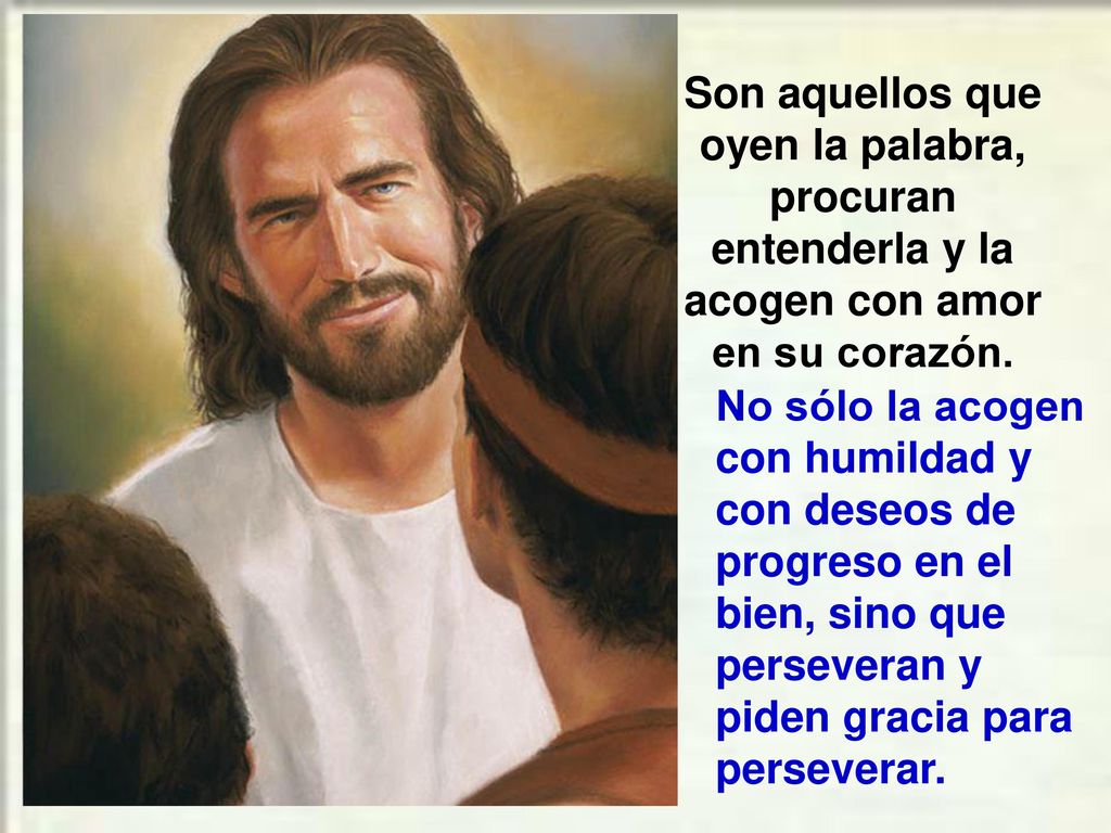 Son aquellos que oyen la palabra, procuran entenderla y la acogen con amor en su corazón.
