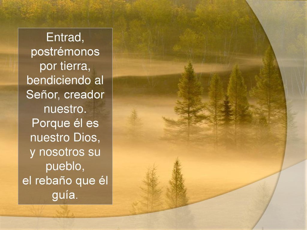 Entrad, postrémonos por tierra, bendiciendo al Señor, creador nuestro