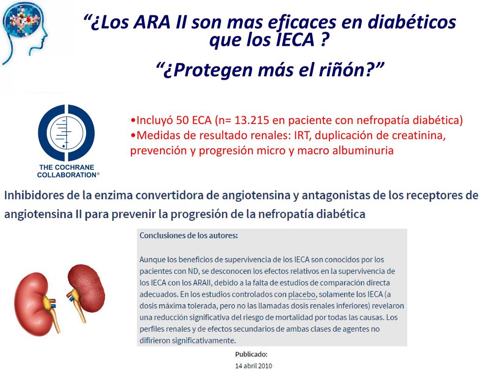 ¿Los ARA II son mas eficaces en diabéticos ¿Protegen más el riñón