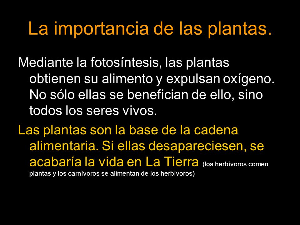 La importancia de las plantas.