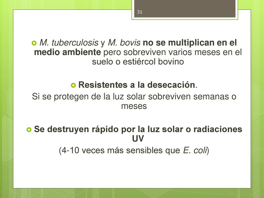 Se destruyen rápido por la luz solar o radiaciones UV