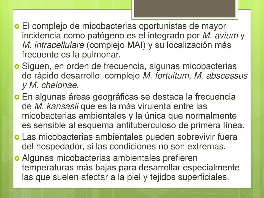 El complejo de micobacterias oportunistas de mayor incidencia como patógeno es el integrado por M. avium y M. intracellulare (complejo MAI) y su localización más frecuente es la pulmonar.
