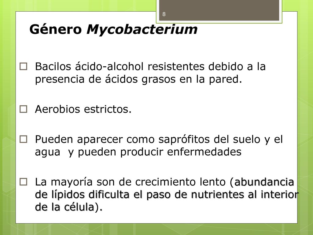 Género Mycobacterium Bacilos ácido-alcohol resistentes debido a la presencia de ácidos grasos en la pared.