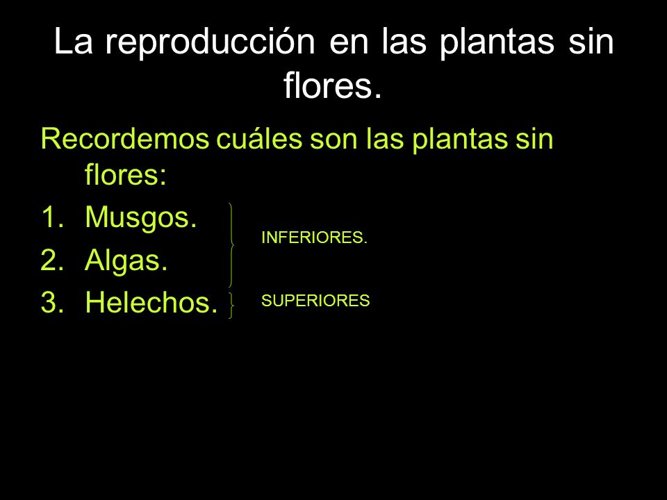 La reproducción en las plantas sin flores.