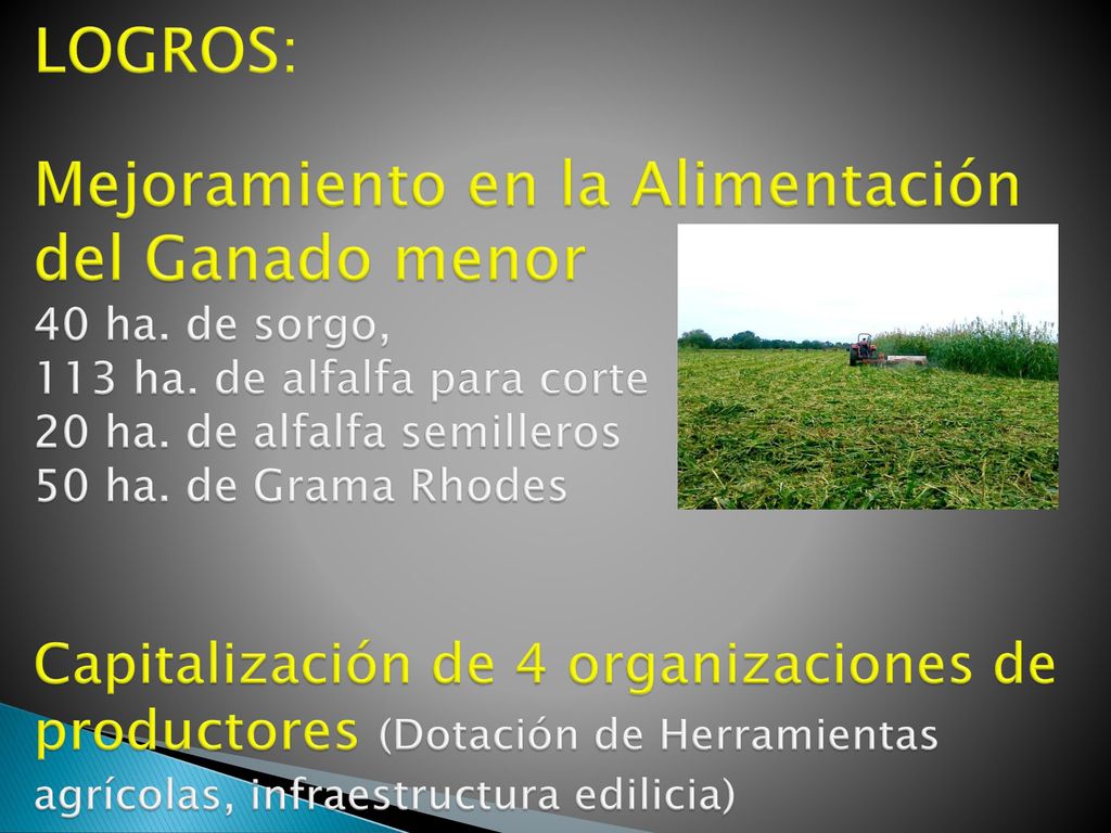 LOGROS: Mejoramiento en la Alimentación del Ganado menor 40 ha