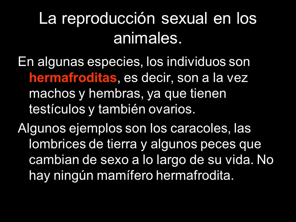 La reproducción sexual en los animales.