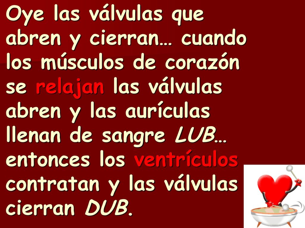 Oye las válvulas que abren y cierran… cuando los músculos de corazón se relajan las válvulas abren y las aurículas llenan de sangre LUB… entonces los ventrículos contratan y las válvulas cierran DUB.