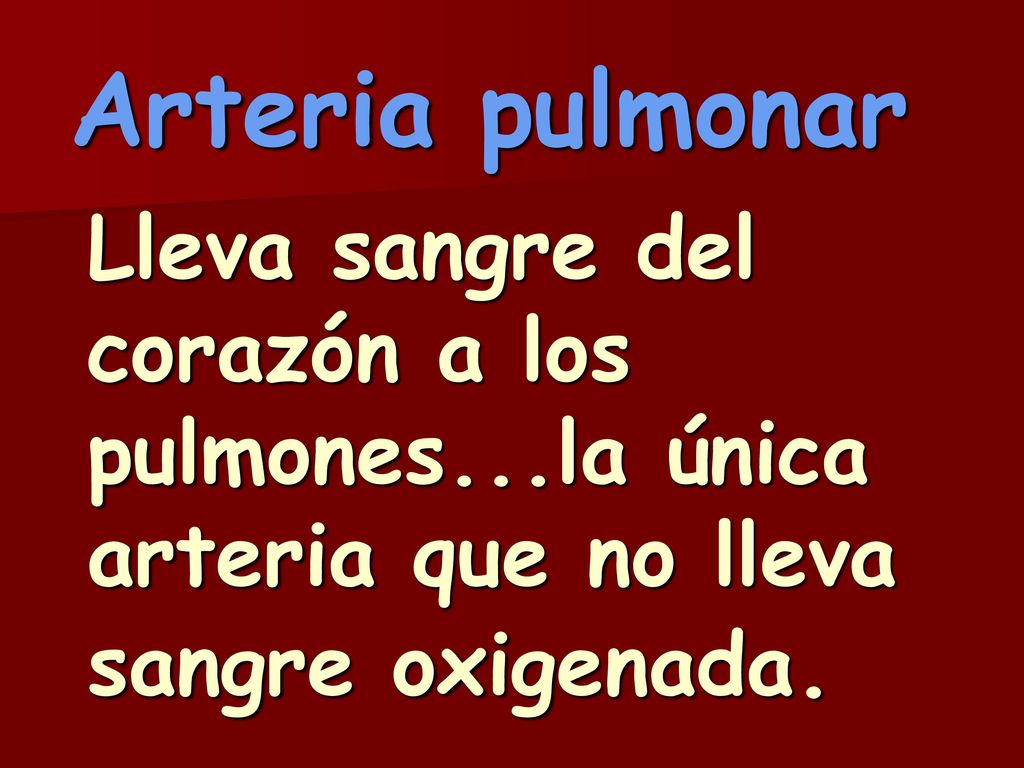 Arteria pulmonar Lleva sangre del corazón a los pulmones...la única arteria que no lleva sangre oxigenada.