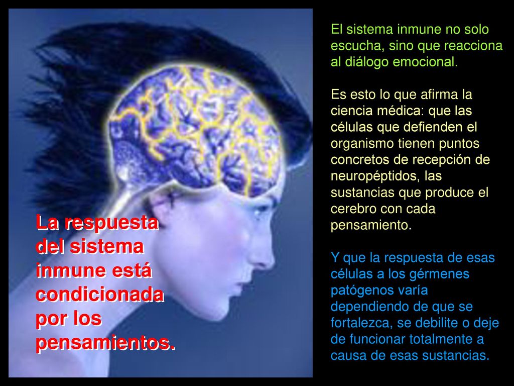 El sistema inmune no solo escucha, sino que reacciona al diálogo emocional.
