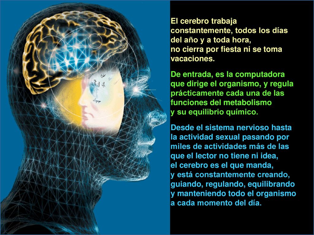 El cerebro trabaja constantemente, todos los días del año y a toda hora, no cierra por fiesta ni se toma vacaciones.