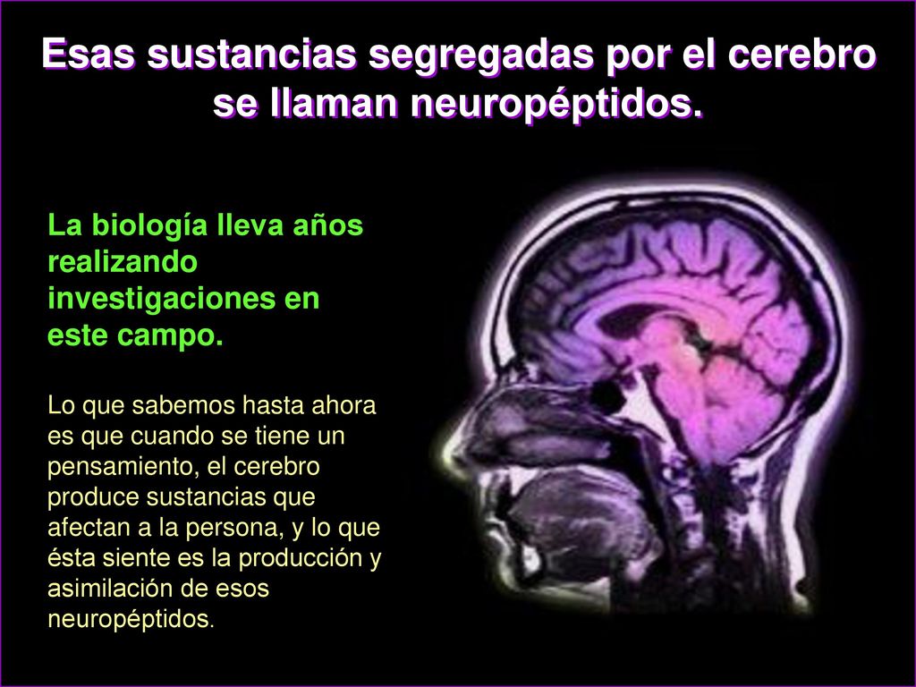 Esas sustancias segregadas por el cerebro se llaman neuropéptidos.