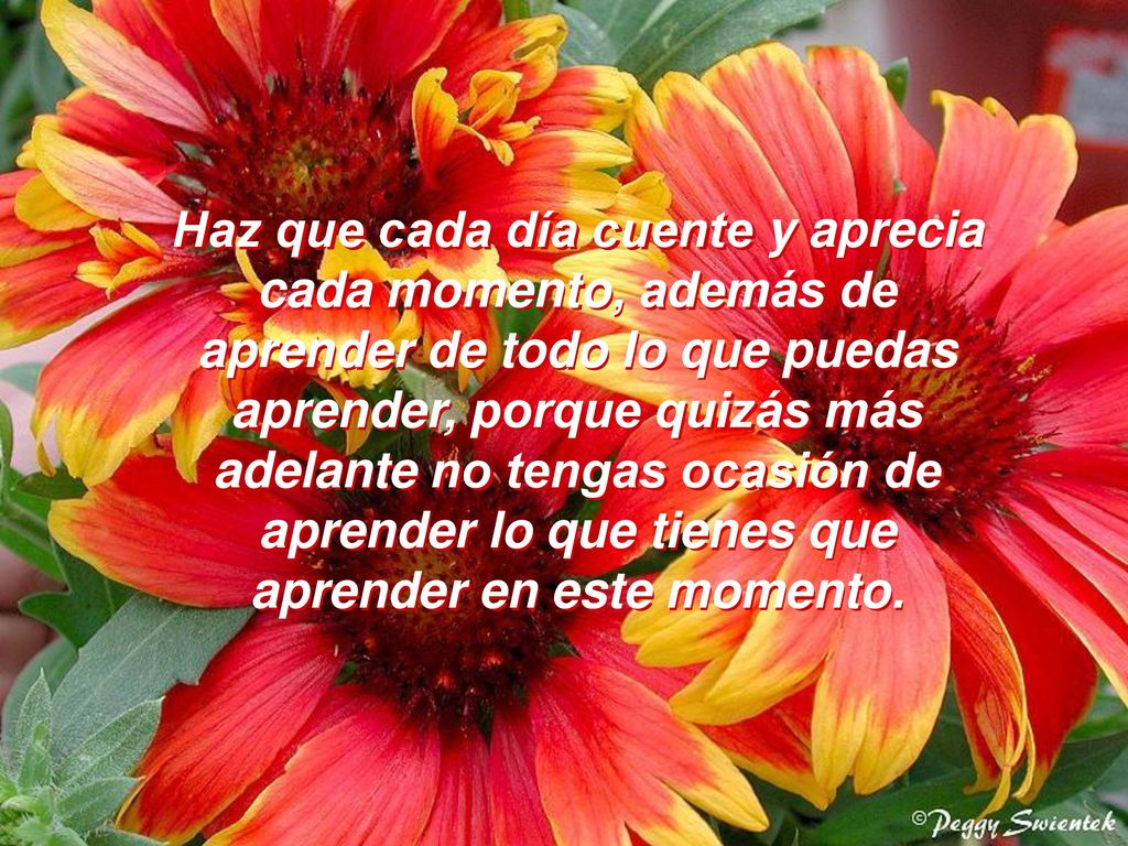 Haz que cada día cuente y aprecia cada momento, además de aprender de todo lo que puedas aprender, porque quizás más adelante no tengas ocasión de aprender lo que tienes que aprender en este momento.