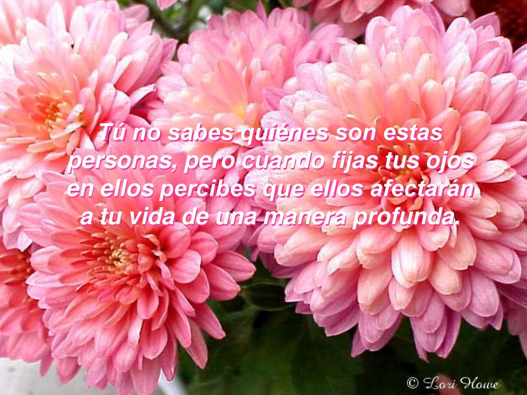 Tú no sabes quiénes son estas personas, pero cuando fijas tus ojos en ellos percibes que ellos afectarán a tu vida de una manera profunda.