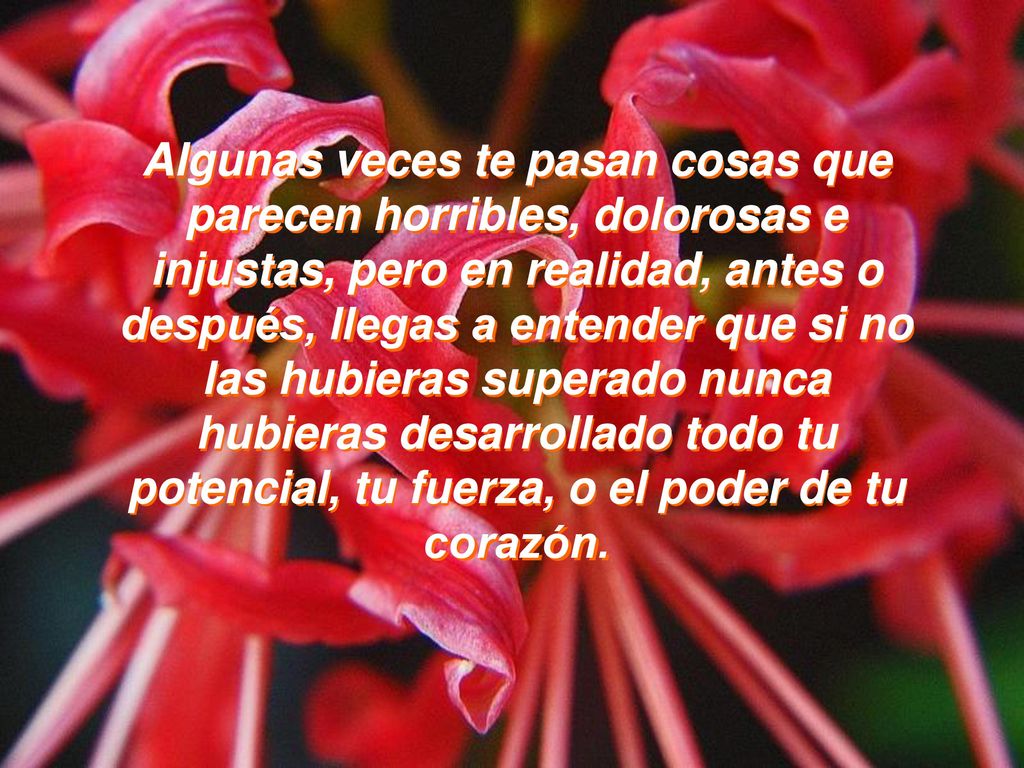 Algunas veces te pasan cosas que parecen horribles, dolorosas e injustas, pero en realidad, antes o después, llegas a entender que si no las hubieras superado nunca hubieras desarrollado todo tu potencial, tu fuerza, o el poder de tu corazón.
