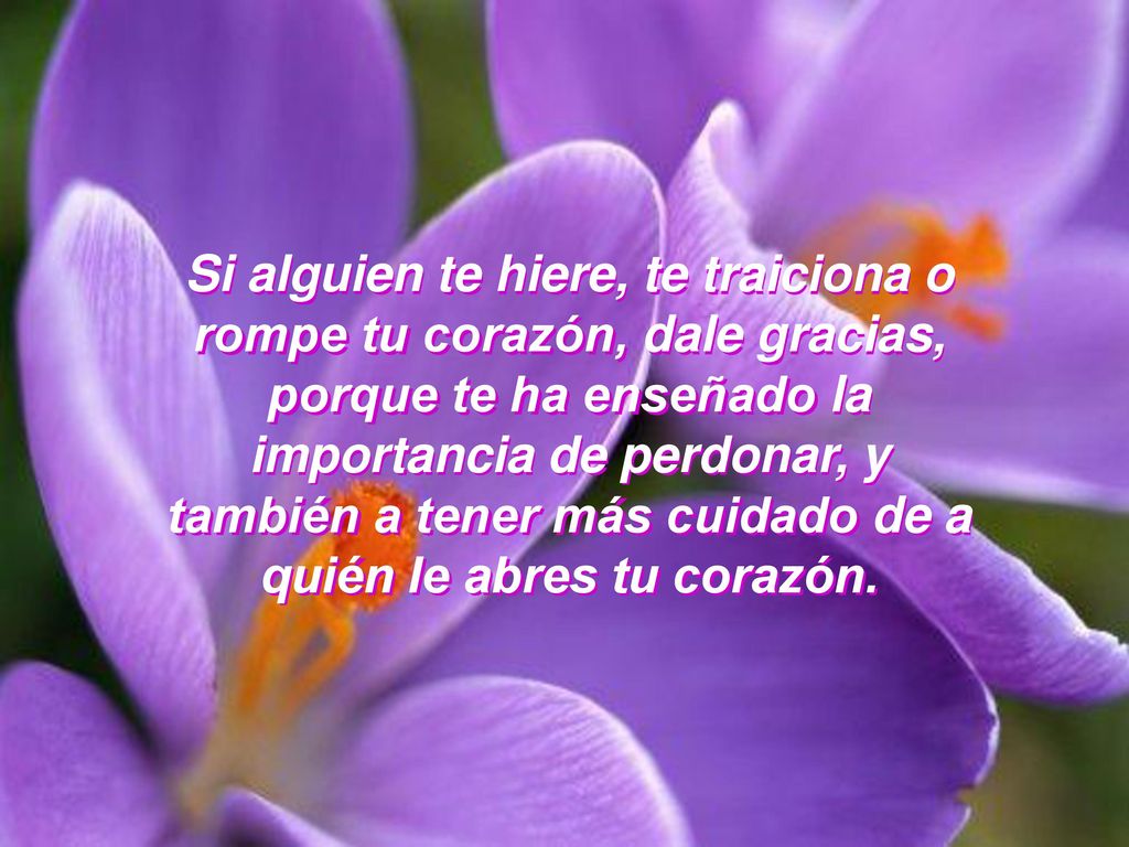 Si alguien te hiere, te traiciona o rompe tu corazón, dale gracias, porque te ha enseñado la importancia de perdonar, y también a tener más cuidado de a quién le abres tu corazón.