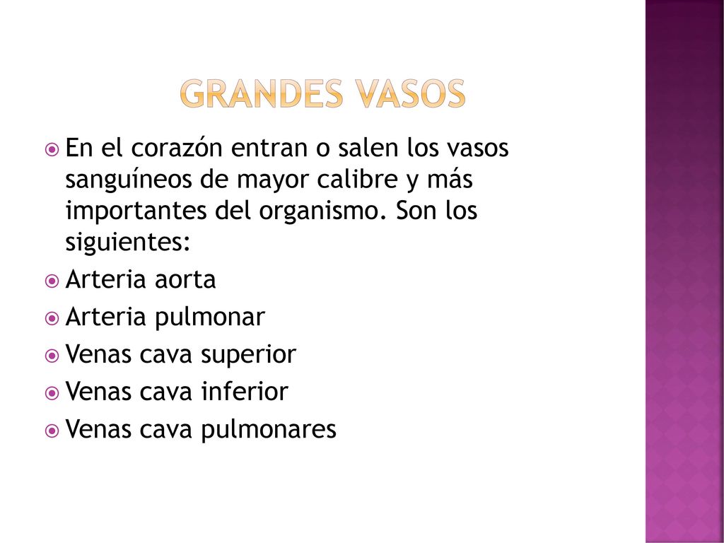 Grandes vasos En el corazón entran o salen los vasos sanguíneos de mayor calibre y más importantes del organismo. Son los siguientes: