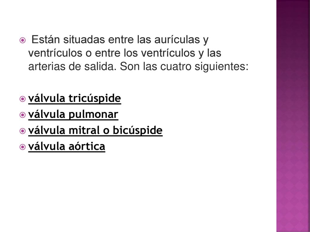 Están situadas entre las aurículas y ventrículos o entre los ventrículos y las arterias de salida. Son las cuatro siguientes: