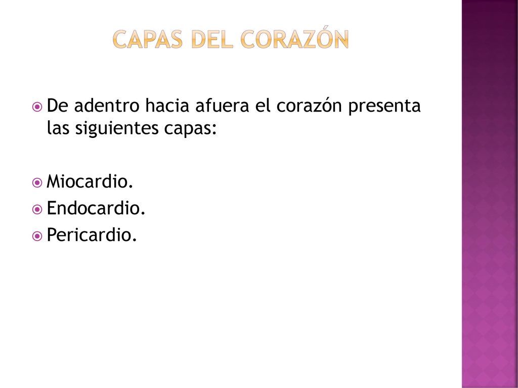 Capas del corazón De adentro hacia afuera el corazón presenta las siguientes capas: Miocardio. Endocardio.