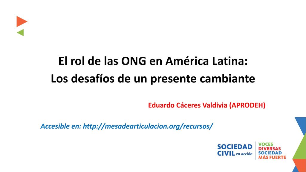 El rol de las ONG en América Latina: Los desafíos de un presente cambiante