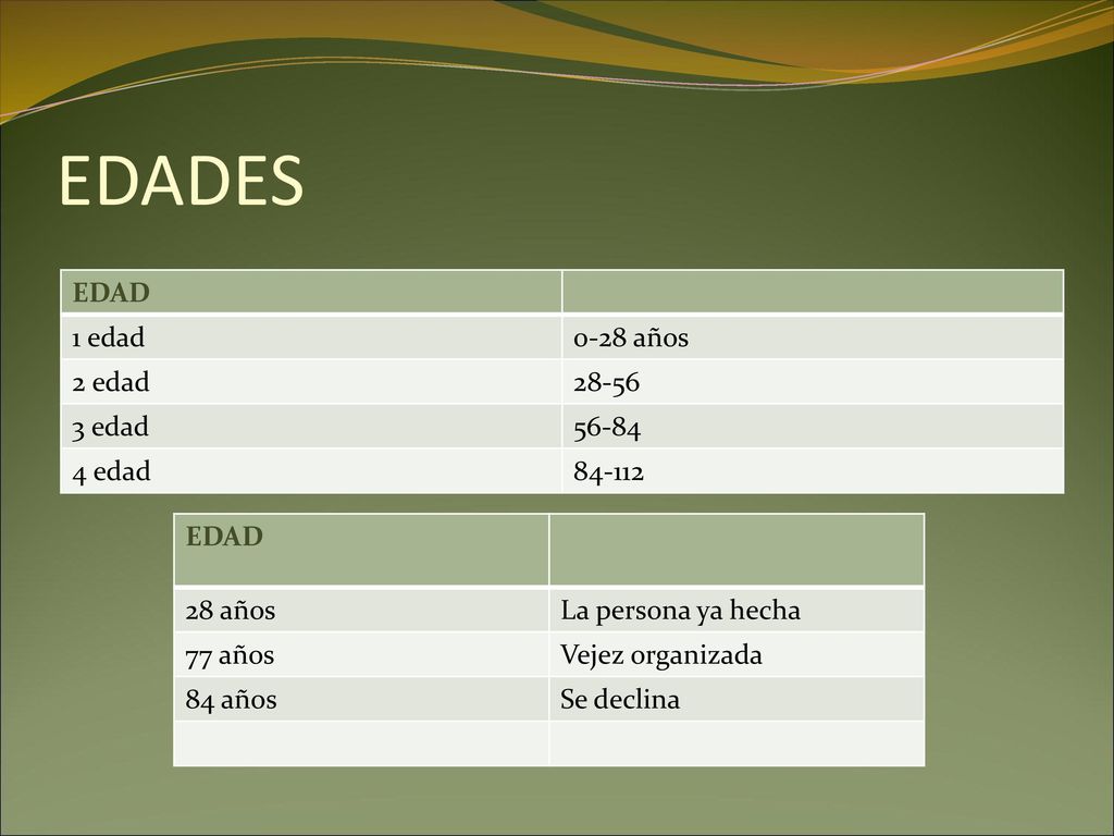EDADES EDAD 1 edad 0-28 años 2 edad edad edad