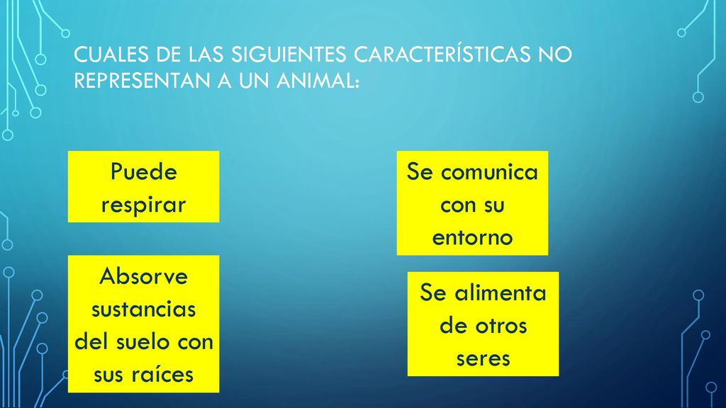 Cuales de las siguientes características no representan a un animal: