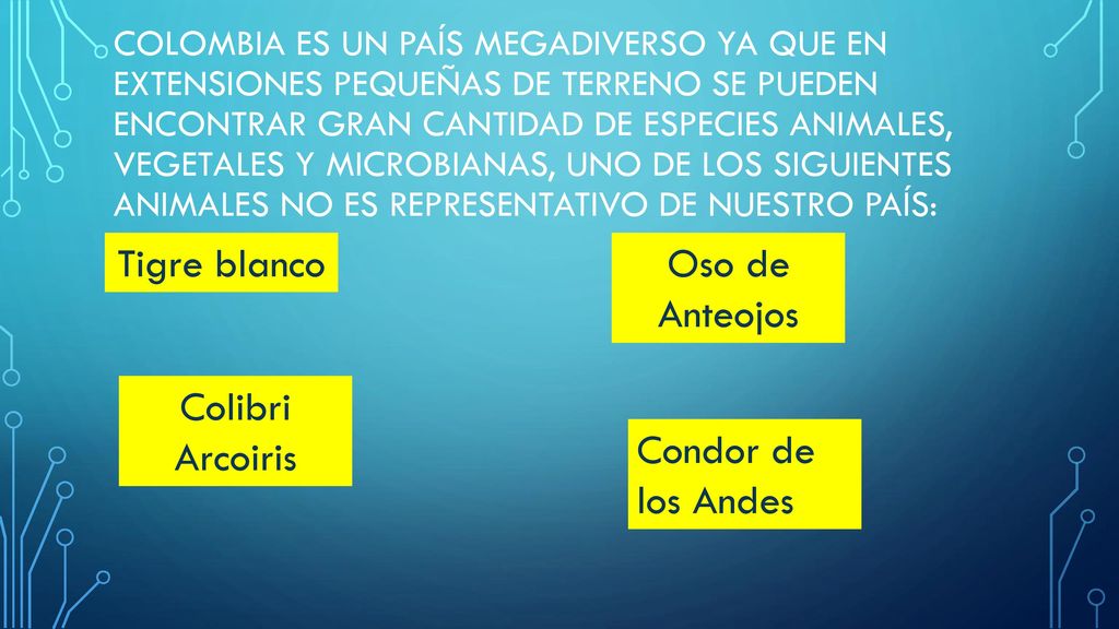 Tigre blanco Oso de Anteojos Colibri Arcoiris Condor de los Andes
