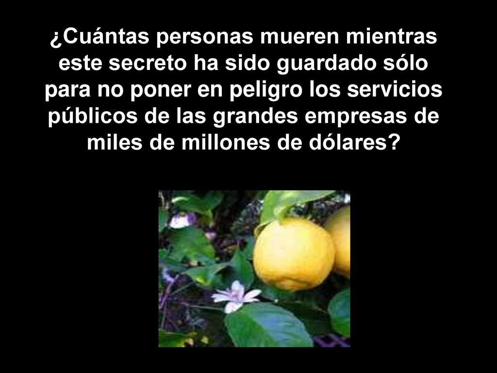 ¿Cuántas personas mueren mientras este secreto ha sido guardado sólo para no poner en peligro los servicios públicos de las grandes empresas de miles de millones de dólares