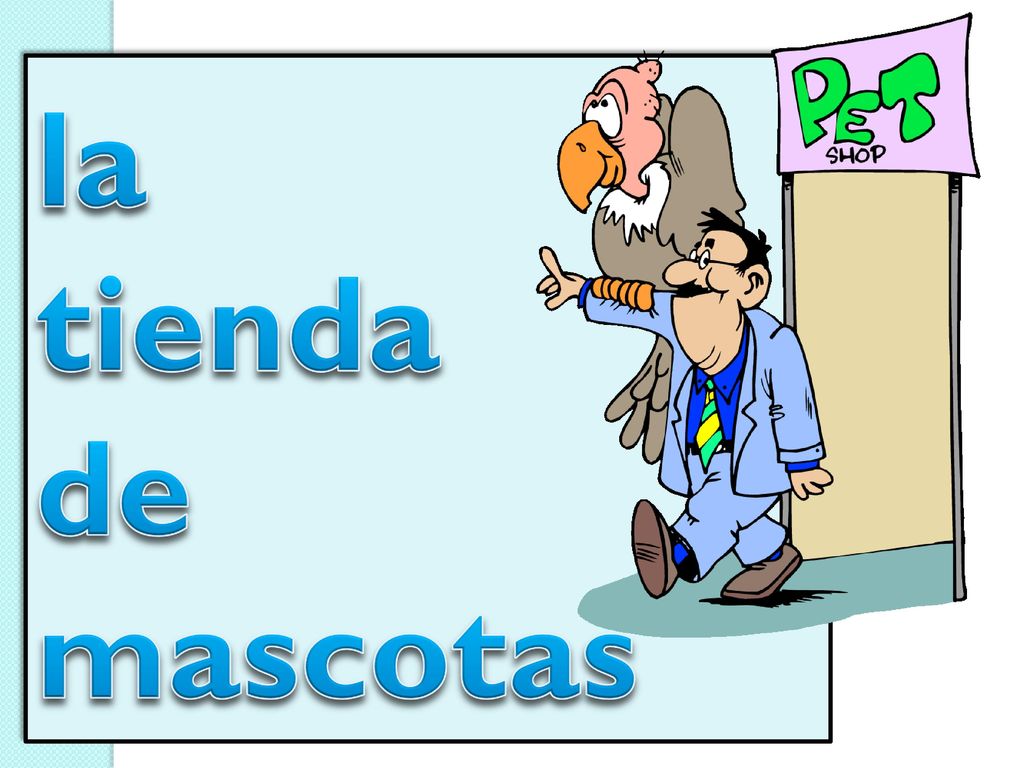 la tienda de mascotas the pet store