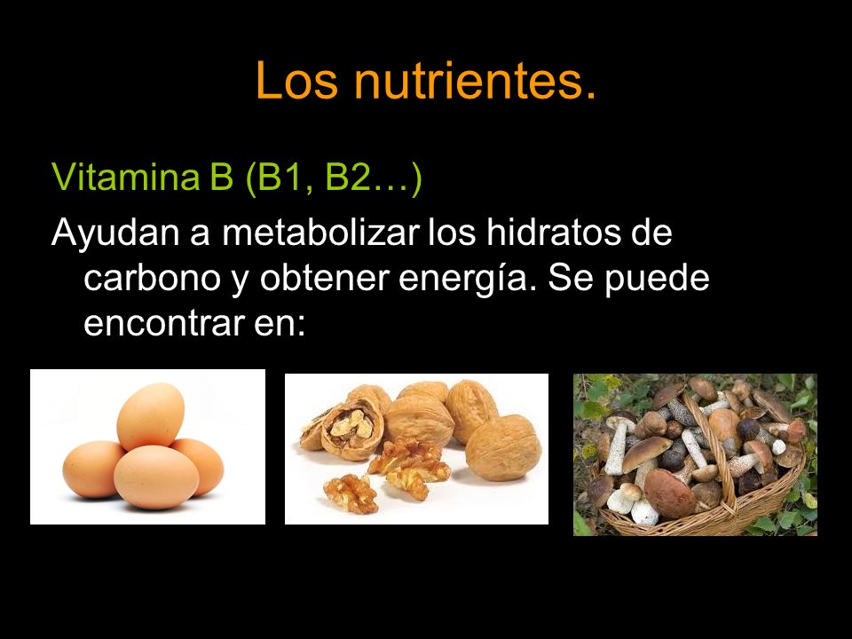 Los nutrientes. Vitamina B (B1, B2…)