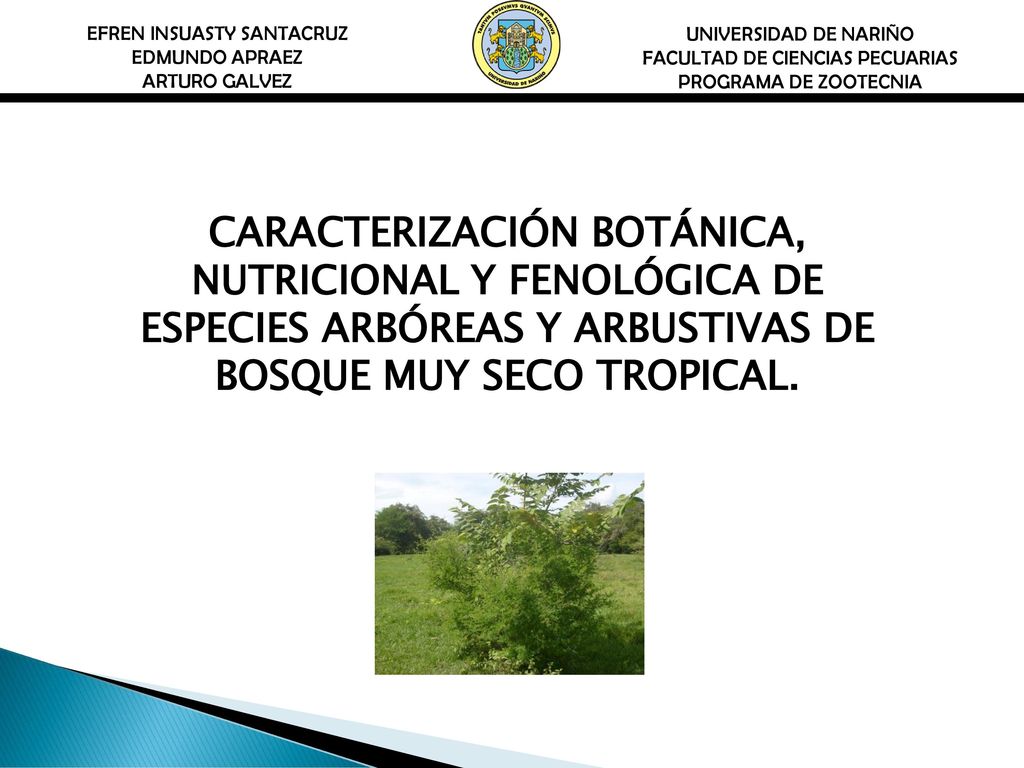 UNIVERSIDAD DE NARIÑO FACULTAD DE CIENCIAS PECUARIAS. PROGRAMA DE ZOOTECNIA. EFREN INSUASTY SANTACRUZ.