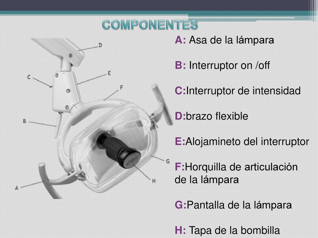 COMPONENTES A: Asa de la lámpara B: Interruptor on /off
