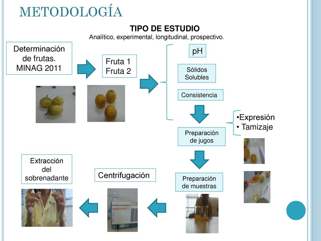 metodología TIPO DE ESTUDIO Determinación de frutas. MINAG 2011 pH